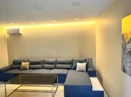 Apart near pushkin metro station