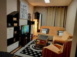 Sunny days -cozy and comfortable apartment