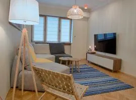 Luxury and stylish apartment in the heart of the city