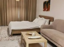 Sunny Studio Masdar Near Airport