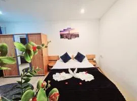 Pensiunea Red Rose Apartments