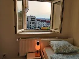 Zizkov Room - Prague Castle & City View