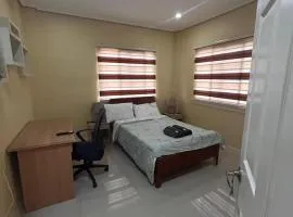 Pelaez house in the bogo