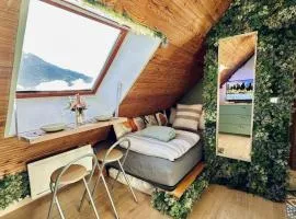 Atypical Studio - Allos