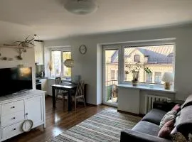 Bright and cozy apartment in the city center with balcony