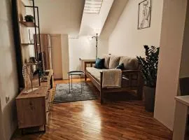 Apartman Matica Srpska sa garazom