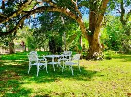 Peace Villa - Homestay