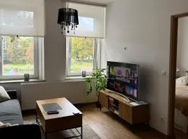 Apartment between the bridges