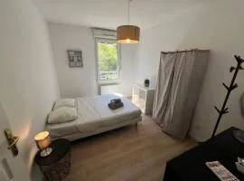 Chambre Cosy proche Part Dieu