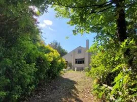 Halls Cleave, Woodland Retreat, Moretonhampstead, Dartmoor