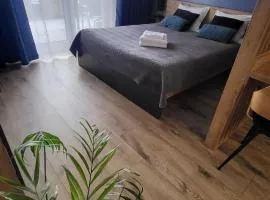 Apartament - Sienkiewicza 22D