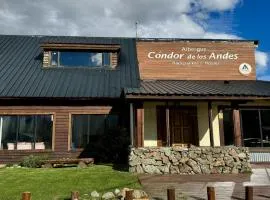 Condor De Los Andes