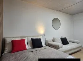 Haas Apartments Art with parking, bakery, free fitness