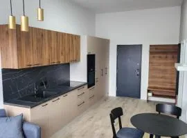 Apartment Ružomberok 203