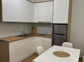 Apartaments Shengjin with sea view