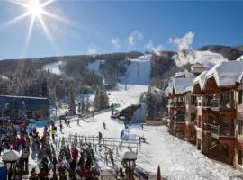 Vail Lion Square 401N