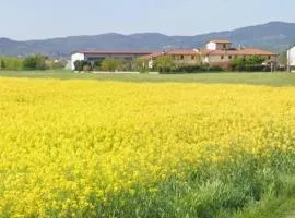Fienile Paradiso Home Tuscany