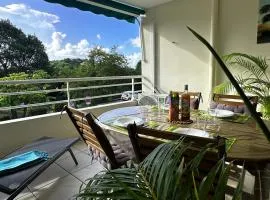 Ti Colibri, 4 pers, appartement calme proche plage