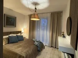 Apartment SV40 in the city center