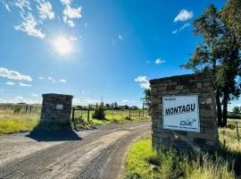 Shepherd's Cottage Smithfield