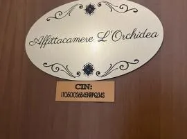 B&B L'Orchidea