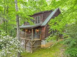 Among the Laurels- Private Hot Tub and Fire Pit