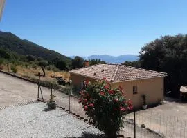 La Palombière - L Arbousier