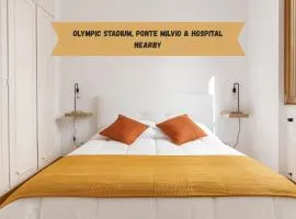 near the stadium-hospital-centre in ROME