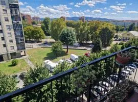 GuestHost - Comfortable Apartment Vallette Turin