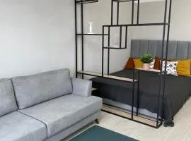 Уютный апартамент