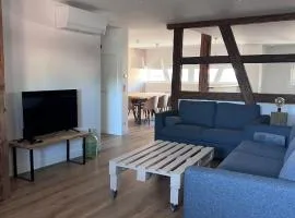 Spacious village house