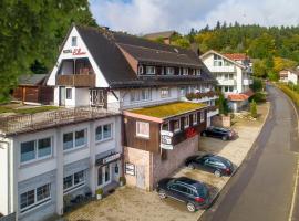 Hotel Bellevue, hotel in St. Blasien
