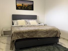 Apartman na dan Pecinci, hotel in Pećinci