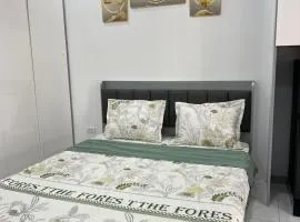 Evergreen Bac Giang apartment