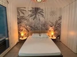 Le Corail - plages - parking - clim - wifi