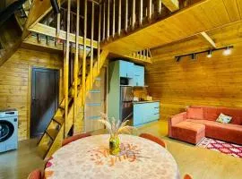 Mountain Shadow Cottage in Racha