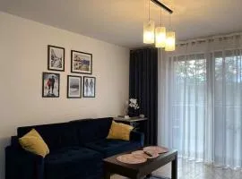 Apartament Enea