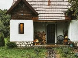 Cuib din Fagaras
