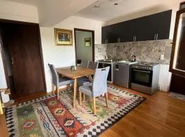 Vacation spot in Sarajevo in a calmest spacious area