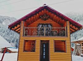 Rusnak Family, hotel in Synevyrsʼka Polyana