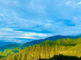 Hotel Brownie - Best Selling Hotel In Dalhousie