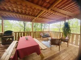 Chalet dans les bois
