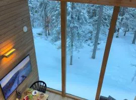 Villa Auroras Karhu