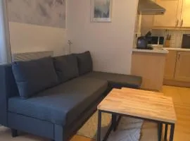 Ski & Spa Zakopane # sauna & jacuzzi for free # restaurant 50m