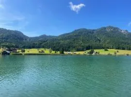 SeeHotel & SeeApartments Kärntnerhof- direkt am See!