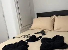 Double Room in London SW4 Zone 2