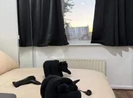 London zone2 room near Battersea