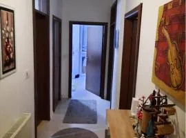 Appartment is located in the center of town Fushe Kosova