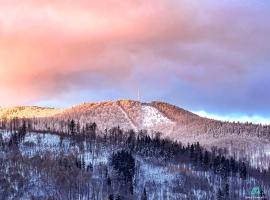 GDZIE BĘDZIE CI LEPIEJ Ferie w Beskidach, APARTAMENTY SZYNDZIELNIA w GÓRACH WIDOKOWE & BIZNESOWE & Parking, hotel a Bielsko-Biala