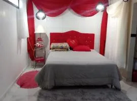 Ksl refúgio dos pássaros